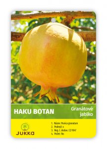 Granátové jablko HAKU BOTAN