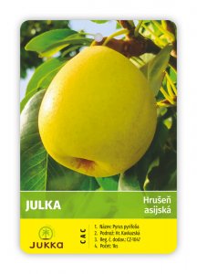 Asijská hrušeň JULKA