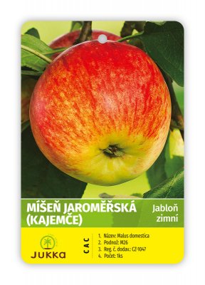 Jabloň MÍŠEŇ JAROMĚŘSKÁ