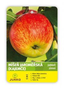 Jabloň MÍŠEŇ JAROMĚŘSKÁ