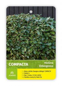 Hlošina ebbingeova - COMPAKTA - kontajner
