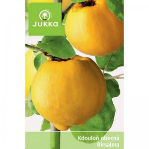 Kdouloň RONDA-kontejner