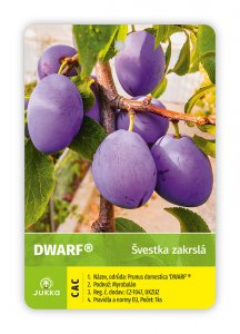 Slivka zakrpatená DWARF-kontajner