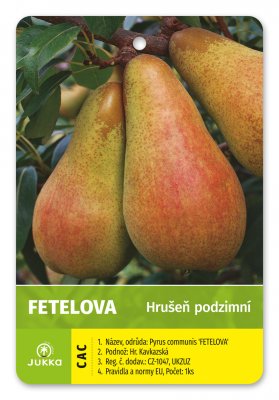 Hruška FETELOVA - kontajner