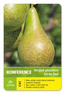 Hruška KONFERENCIA - kontajner