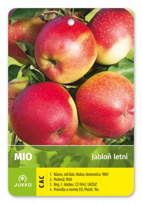 Jabloň MIO - kontajner