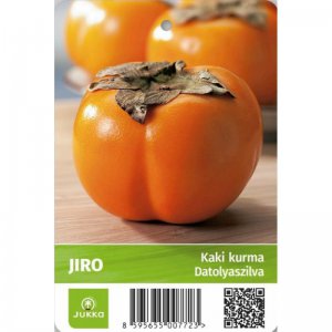 Hurmikaki (Ebenovník rajčiakový) JIRO - kontajner