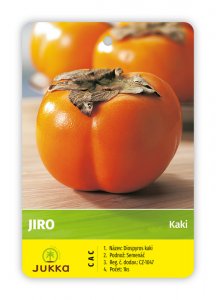 Kaki churma JIRO - kontejner