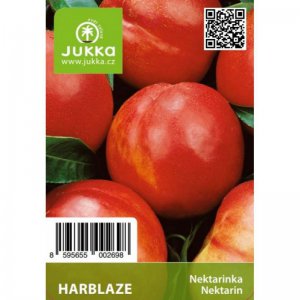 Nektarinka HARBLAZE - kontajner