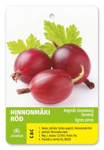 Egreš stromčekový červený HINNONMÄKI ROT - kontajner