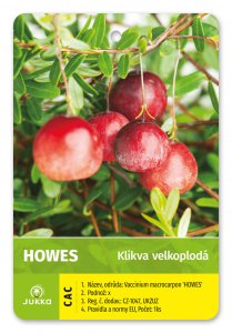 Kľukva (brusnica) HOWES