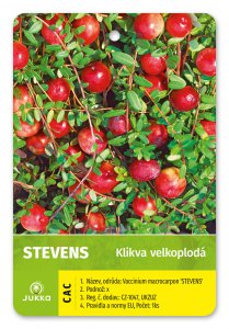 Kľukva (brusnica) STEVENS