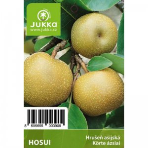 Ázijská hruška HOSUI - kontajner