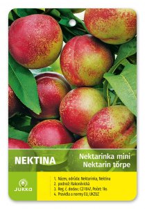 Nektarinka MINI NEKTINA - kontajner