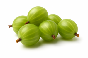 Egreš kríkový biely LADY LATE® - kontajner