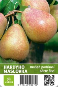 Hruška HARDYHO MÁSLOVKA