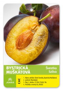 Švestka BYSTRICKÁ MUŠKÁTOVÁ