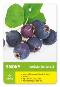 Indiánska čučoriedka Amelanchier SMOKY