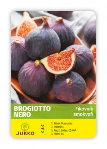 Figovník BROGIOTTO NERO