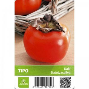 Hurmikaki (Ebenovník rajčiakový) TIPO - kontajner