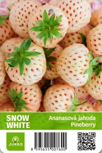 Ananasové jahody - SNOW WHITE