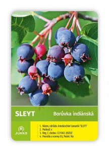 Indiánska čučoriedka Amelanchier SLEYT