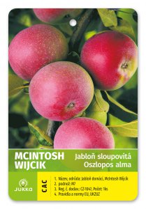 Jabloň stĺpovitá MCINTOSH WIJCIK - kontajner
