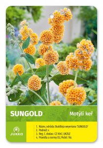 Budleja Dávidova - SUNGOLD
