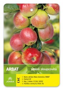 Jabloň sloupovitá ARBAT