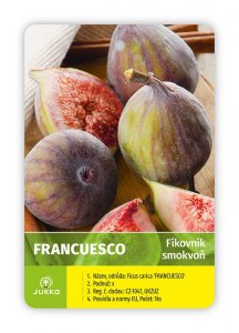 Figovník FRANCUESCO