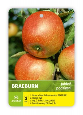 Jabloň BRAEBURN - kontejner
