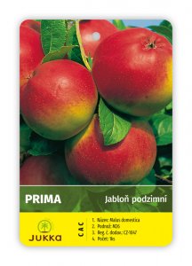 Jabloň PRIMA