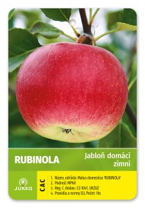 Jabloň RUBINOLA