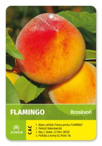 Broskyňa FLAMINGO