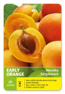 Meruňka EARLY ORANGE