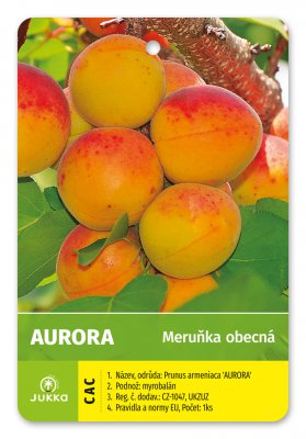 Meruňka AURORA