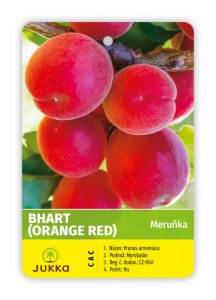 Marhuľa BHART
