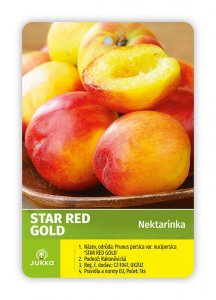 Nektarinka STAR  RED GOLD