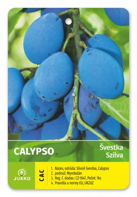 Švestka CALYPSO