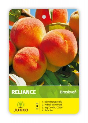Broskvoň RELIANCE