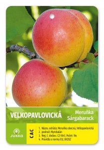 Meruňka VELKOPAVLOVICKÁ