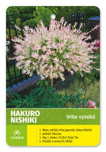Vŕba japonská HAKURO NISHIKI 120 cm