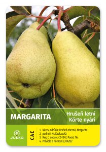 Hruška MARGARITA - kontajner