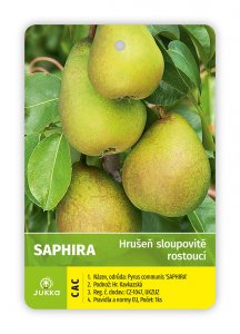 Hruška stĺpcovito rastúci SAPHIRA - kontajner
