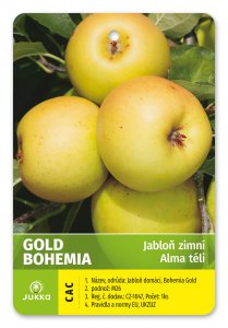 Jabloň GOLD BOHEMIA - kontajner