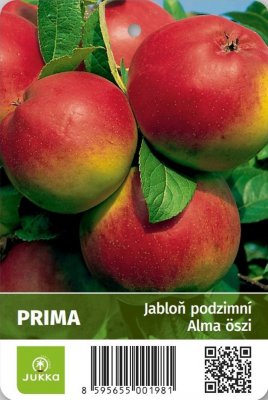 Jabloň PRIMA - kontejner C4