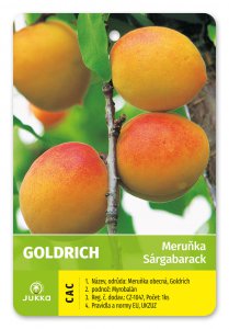 Marhuľa GOLDRICH - kontajner