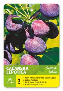 Švestka ČAČANSKÁ LEPOTICA