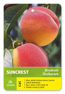 Broskyňa SUNCREST - kontajner
