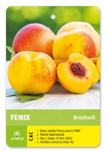 Broskvoň FENIX - kontejner
